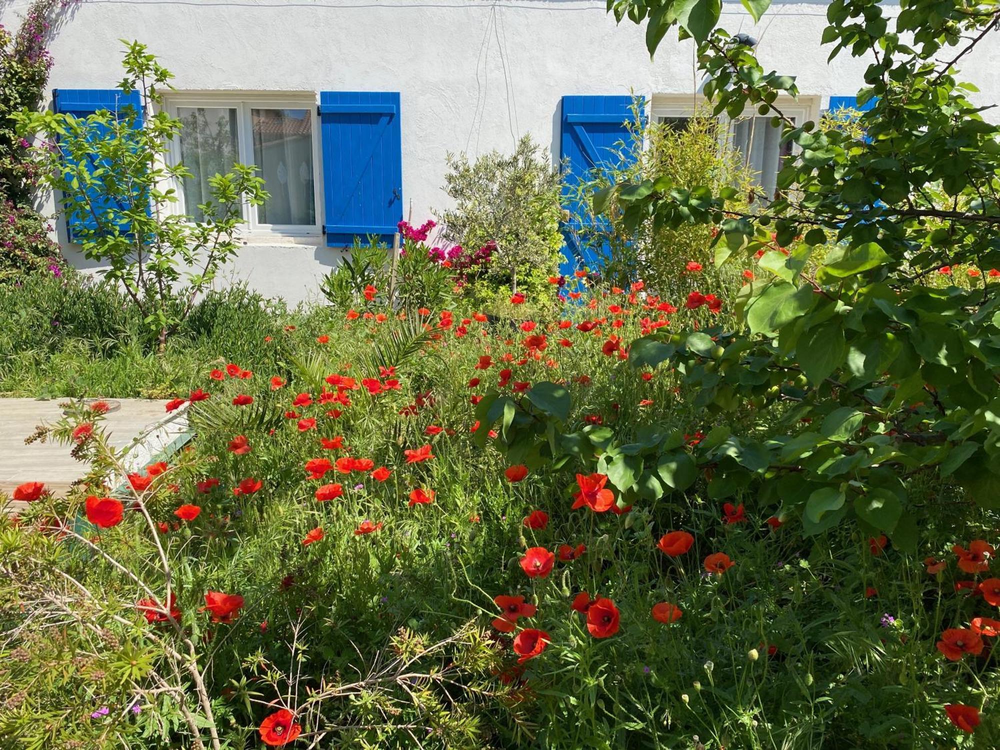Maisonnette De Jardin Марсель Экстерьер фото
